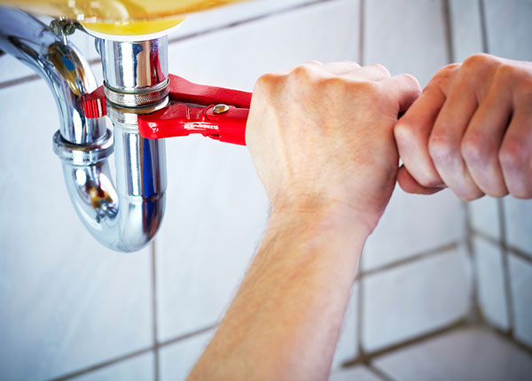 About Woody Plumbers
